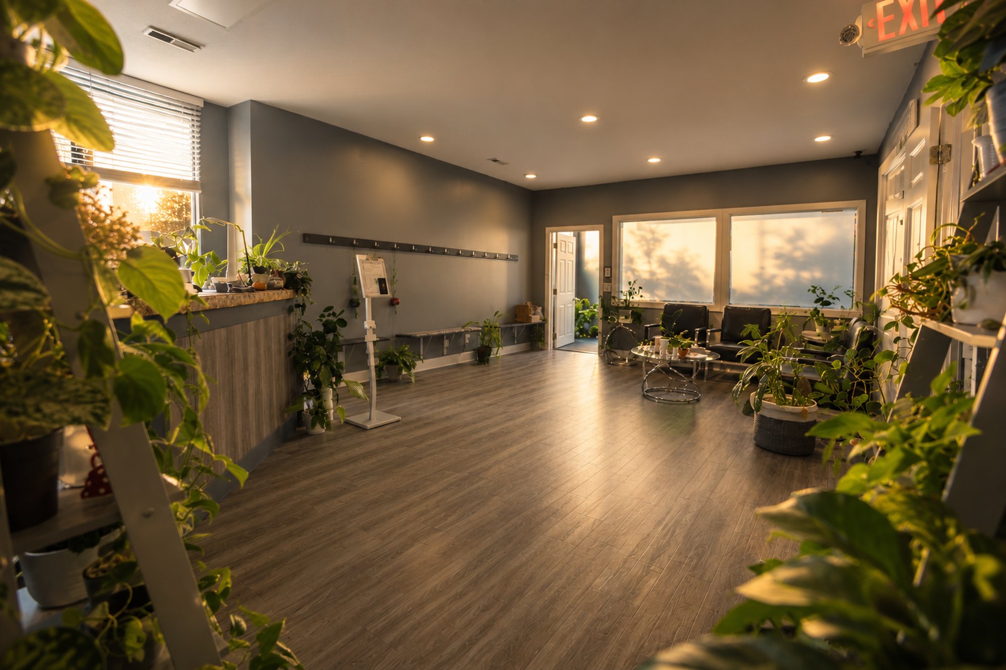 The CGW Studios lobby framed by living plants in warm golden-hour light.