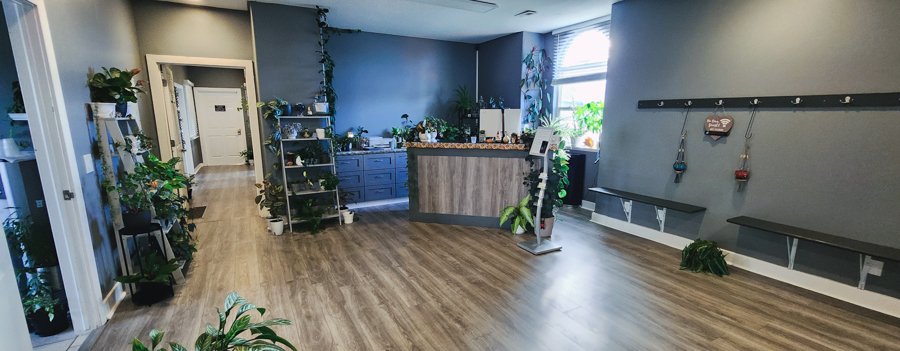 The front desk at CGW Studios with practitioners coming and going throughout the day.