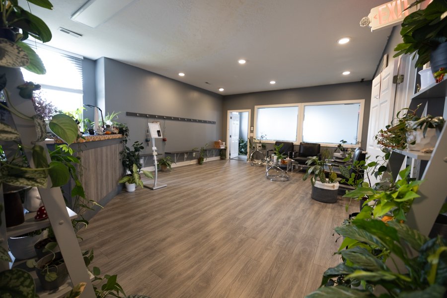 The CGW Studios lobby: wide open, framed by hundreds of living plants, with a warm waiting area visible at the back.